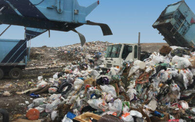 What a Waste!